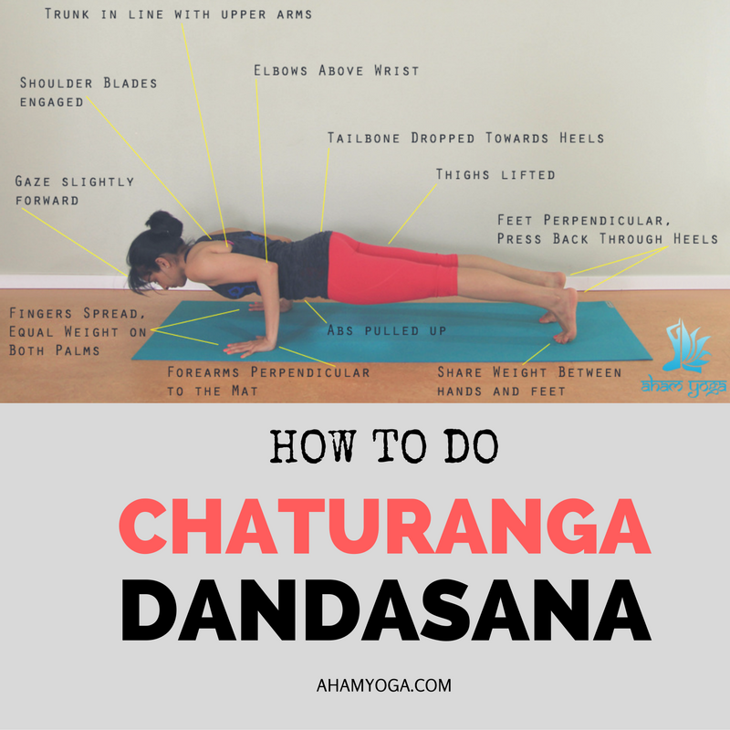 Chaturanga Dandasana (Four limb staff pose)